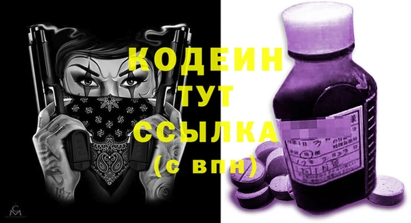 эйфоретик Вяземский