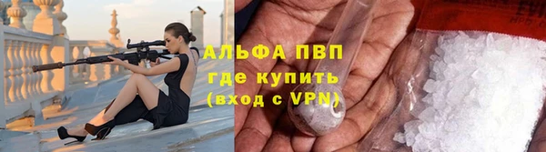 эйфоретик Вяземский