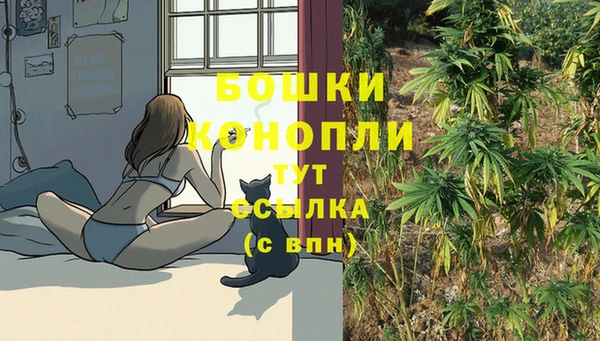эйфоретик Вяземский